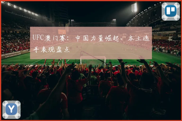 UFC澳门赛：中国力量崛起，本土选手表现盘点