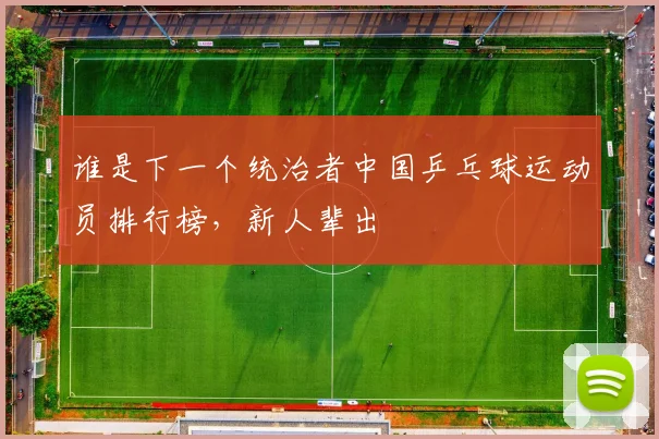 谁是下一个统治者中国乒乓球运动员排行榜，新人辈出