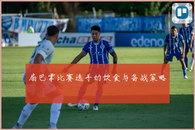 扇巴掌比赛选手的饮食与备战策略