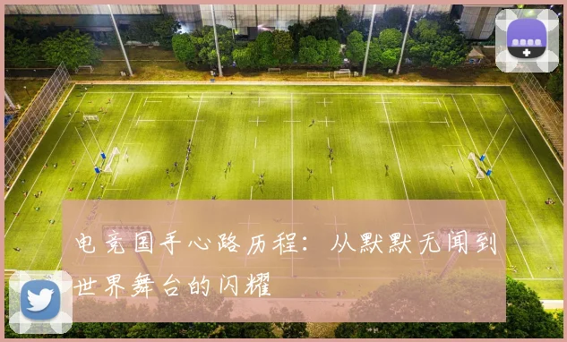 电竞国手心路历程：从默默无闻到世界舞台的闪耀