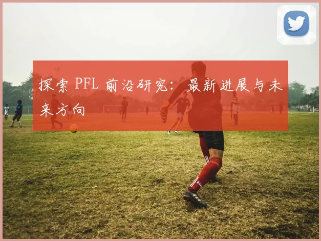 探索 PFL 前沿研究:最新进展与未来方向