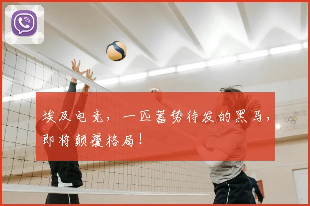 埃及电竞，一匹蓄势待发的黑马，即将颠覆格局！